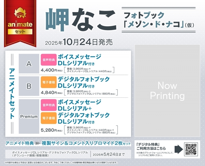 岬なこフォトブック いろいろなこ ゲーマーズ限定版【アナザーフォトブック+アクリルスタンド付】/アニメイトセットPremium【ボイスメッセージDLシリアル+デジタルフォトブックDLシリアル付き】