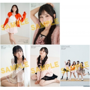 アニメイト通販限定特典:青山なぎささん&岬 なこさん&鈴原希実さん&結那さん(Liella! from ラブライブ!スーパースター!!) 生写真(全5種よりランダム1枚)